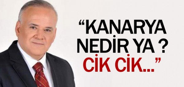 Kanarya nedir ya cik cik